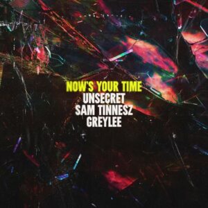 Now's Your Time از Sam Tinnesz