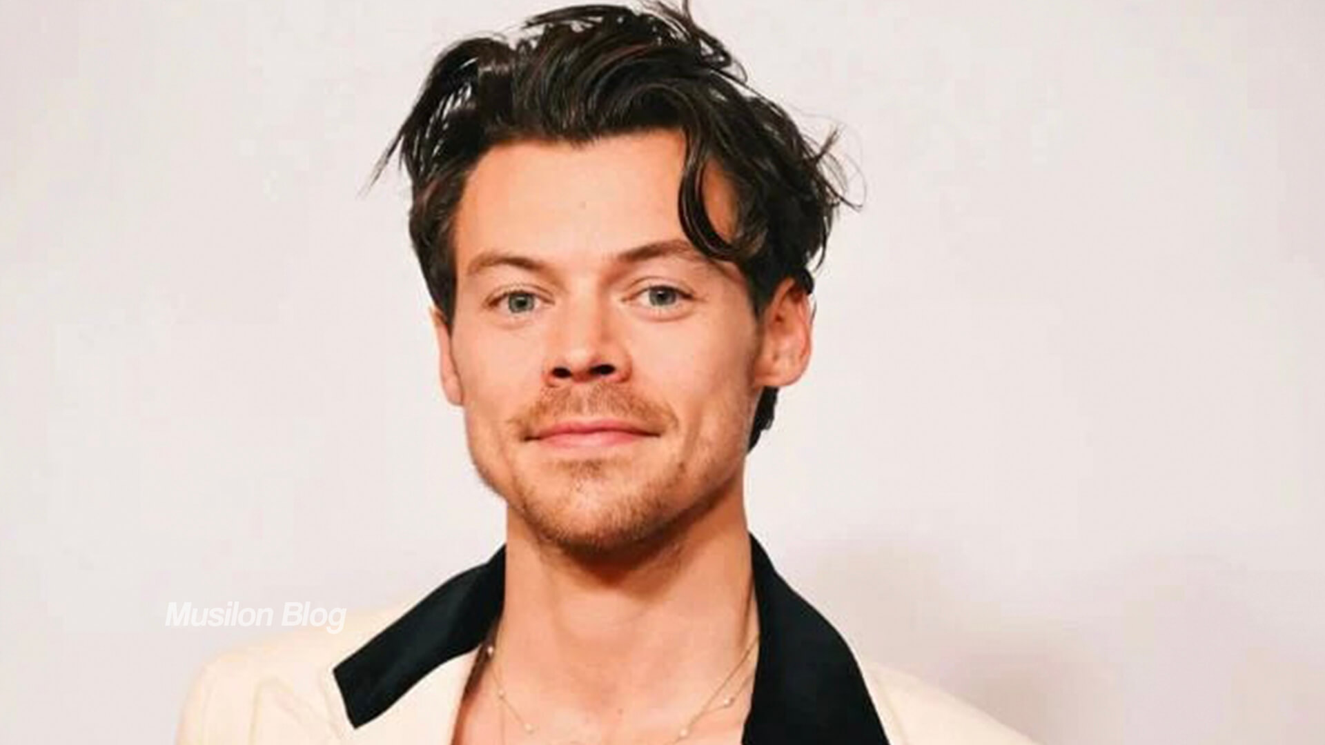 هری استایلز Harry Styles