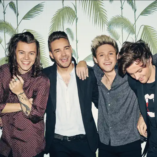 بند وان دایرکشن One Direction - لیام پین، هری استایلز ، زین مالک ،