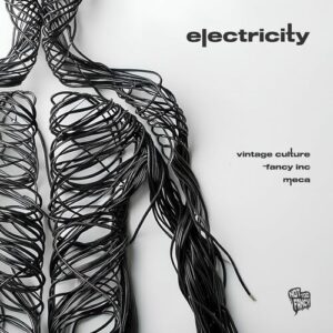 Electricity از Vintage Culture