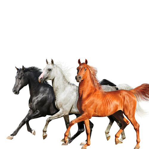 Old Town Road (Diplo Remix) از Lil Nas X