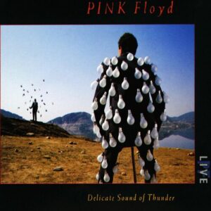 Delicate Sound Of Thunder از Pink Floyd