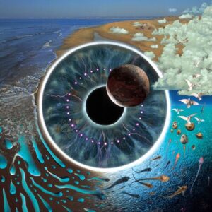 Pulse (Live, 2018 Remaster) از Pink Floyd