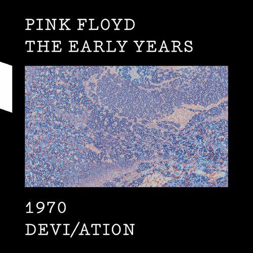 Fat Old Sun (BBC Radio Session, 16 July 1970) از Pink Floyd