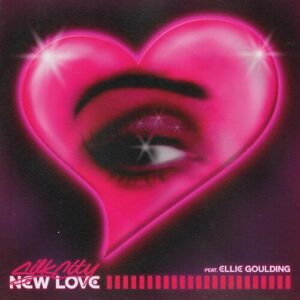 New Love (feat. Diplo & Mark Ronson) از Silk City