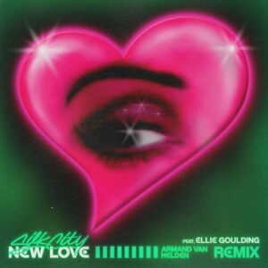 New Love (feat. Diplo & Mark Ronson) (Armand Van Helden Remix) از Silk City