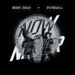 Now Or Never از Pitbull