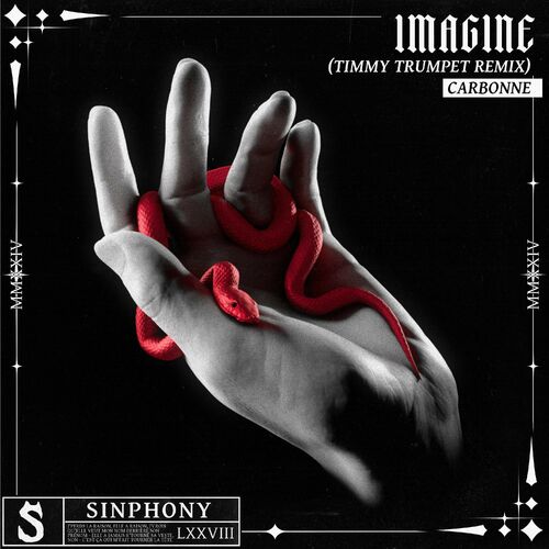 Imagine (feat. Carbonne) [Timmy Trumpet Remix] از Timmy Trumpet