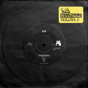 Reasonable Remixes 2 از Sia