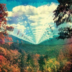 InnerSpeaker (10 Year Anniversary Edition / Alternate Mixes) از Tame Impala