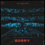 Sorry از Alan Walker