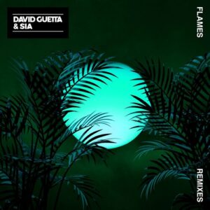 Flames (Remixes EP) از David Guetta