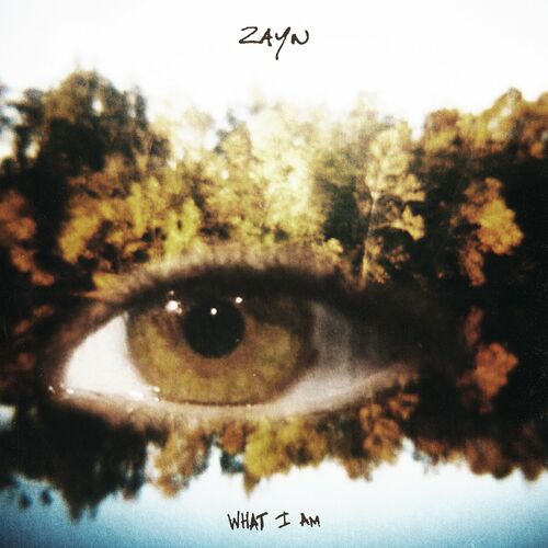 What I Am از ZAYN