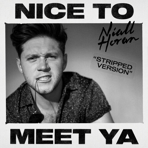 Nice To Meet Ya (Stripped Version) از Niall Horan