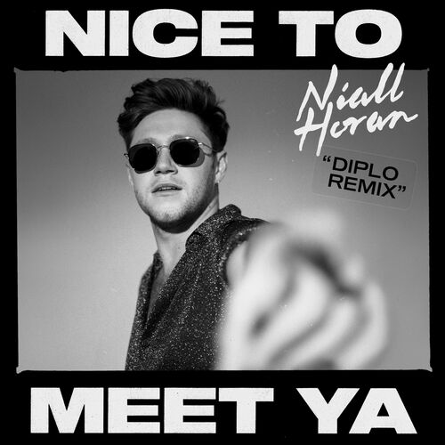 Nice To Meet Ya (Diplo Remix) از Niall Horan