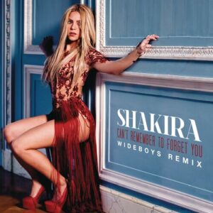 Can't Remember to Forget You (Wideboys Remix) از Shakira