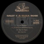 DR Pleasure EP از Sally C