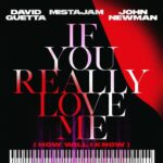 If You Really Love Me (How Will I Know) از David Guetta