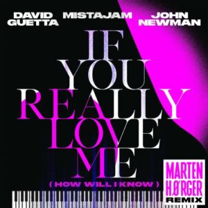 If You Really Love Me (How Will I Know) (Marten Hørger Remix) از David Guetta