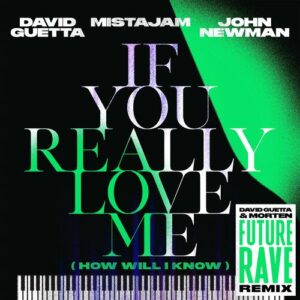 If You Really Love Me (How Will I Know) (David Guetta & MORTEN Future Rave Remix) از David Guetta