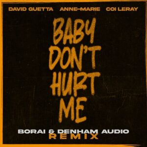 Baby Don't Hurt Me (feat. Anne-Marie & Coi Leray) (Borai & Denham Audio Remix) از David Guetta