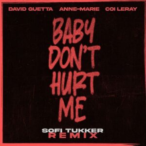 Baby Don't Hurt Me (Sofi Tukker Remix) از David Guetta