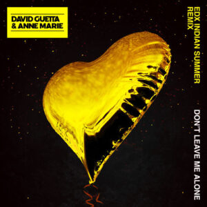 Don't Leave Me Alone (feat. Anne-Marie) (EDX's Indian Summer Remix) از David Guetta