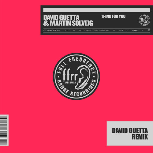 Thing for You (Extended) از David Guetta