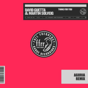 Thing for You (Agoria Remix) از David Guetta