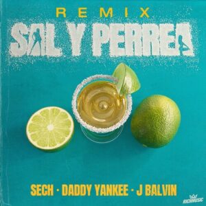 Sal y Perrea (Remix) از Sech