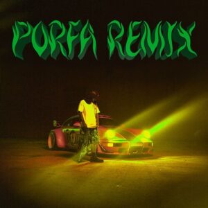 PORFA (Remix) از Feid