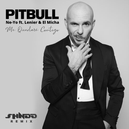 Me Quedaré Contigo (Shndō Remix) از Pitbull