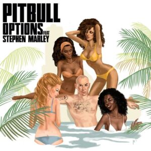 Options (feat. Stephen Marley) از Pitbull