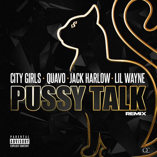 Pussy Talk (Remix) از City Girls