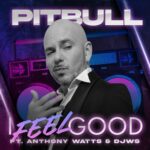 I Feel Good از Pitbull