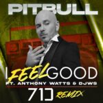 I Feel Good (71 Digits Remix) از Pitbull