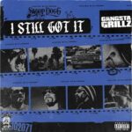 Gangsta Grillz: I Still Got It از Snoop Dogg