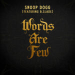 Words Are Few (feat. B Slade) (feat. B Slade) از Snoop Dogg