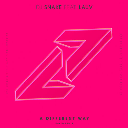 A Different Way (Kayzo Remix) از DJ Snake