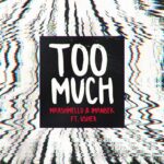 Too Much (feat. Usher) از Marshmello