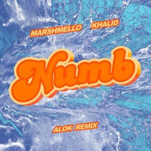 Numb (Alok Remix) از Marshmello