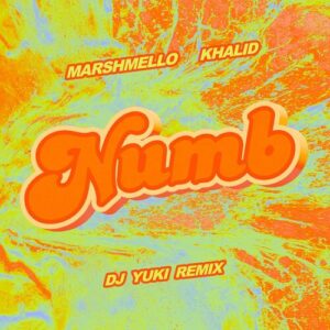 Numb (DJ YUKI Remix) از Marshmello