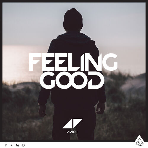 Feeling Good از Avicii