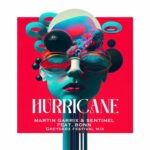 Hurricane (Greyderz Festival Mix) از Greyderz