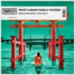 BOW DOWN (feat. CRAZYBOY) از PKCZ®