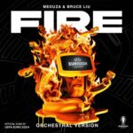 Fire (Orchestral Version) از MEDUZA
