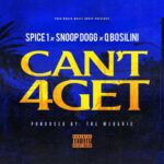 Can't 4Get از Spice 1