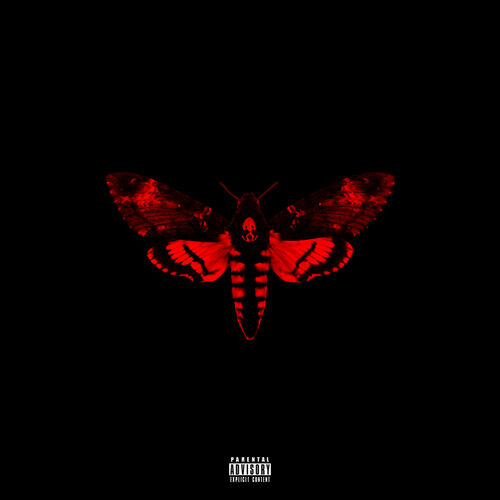 I Am Not A Human Being II (Deluxe) از Lil Wayne