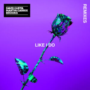 Like I Do (Remixes; Soonvibes Contest) از David Guetta