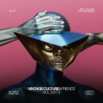 Vintage Culture & Friends, Vol. 6 (Pt. I) از Vintage Culture